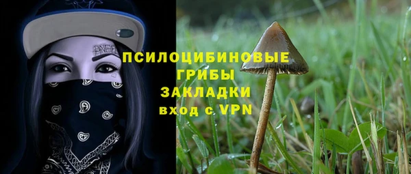 МДПВ Алзамай