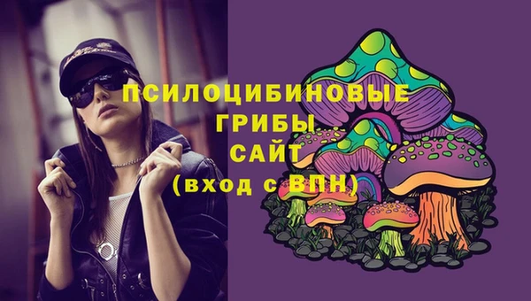 МДПВ Алзамай