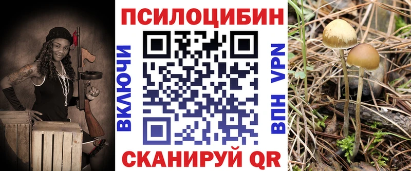 Псилоцибиновые грибы прущие грибы  Балабаново 