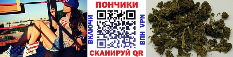 Бошки Шишки семена  где можно купить   Балабаново 